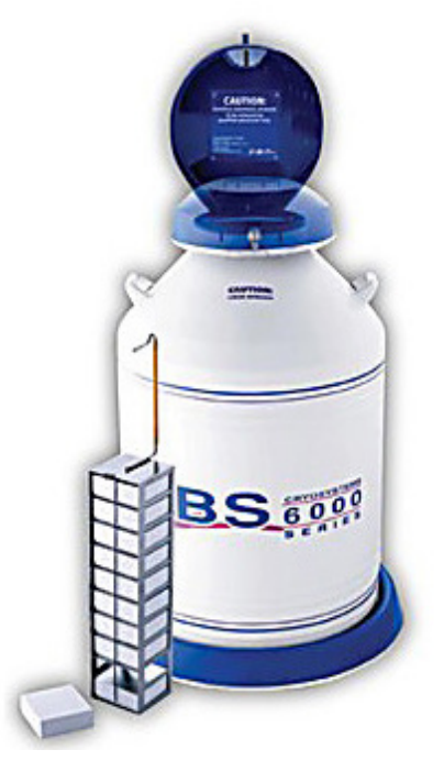 liquid nitrogen storage tank